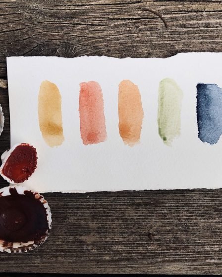 A goma arábica é usada como aglutinante: Porque se dissolve na água da aquarela da tinta de goma de acácia para criar uma pintura em aquarela. A água dilui as tintas de veículos ou, aquarela mais finas e ajuda a trasnferir á superfície como: papel. Uma vez que toda a umidade tenha evaporado, a goma de acácia geralmente não liga o pigmento á superfície do papel, mas é totalmente absorvida nas camadas mais profundas. Usando pouca água , após a evaporação, a goma de acácia atua como um verdadeiro aglutinante na película da tinta, aumentando a luminosidade e evitando o brilho das cores. A goma facilita a dispersão das partículas de pigmento, permitindo um controle mais sutil sobre a lavagem. Tabém retarda a evaporação da água negra da acácia, aumentando ligeiramente o tempo de trabalho. Adiconar um pouco de goma arábica ao pigmento aquarela facilita a remoção do pigmento do papel, o que pode ser uma ferramenta útil para remover a cor ao pintar com aquarela. Goma arábica - cerâmica A goma arábica tem uma longa história como aditivo, esmalte cerâmico. Atua como aglutinante, permitindo que o esmalte venha a aderir á argila antes da queima, minimizando os danos do manuseio durante a fabricação da peça. Como efeito secundário, os pesticidas aumentam a fluidez da mistura da mistura de esmalte, mas aumentam a probabilidade de formar um bolo duro se não forem usados por um tempo. Geralmente, a goma é feita como uma solução em água quente (normalmente 10 a 25 g / l) e após moage é adicionada á solução de esmalte em uma concentração de 0,02% á 3,0% em peso seco de goma arábica. Esmalte. Na queima, o preto queima em baixas temperaturas, não deixando nenhum resíduo no esmalte. Mas recentemente, especialmente na fabricação comercial, a goma arábica foi substituída por alternativas mais sofisticadas e consistentes. Goma arábica - impressão A goma arábica também protege e grava imagens de processos litográficos, tanto de pedra tradicional quanto de placas de alumínio. Na litografia, a própria goma pode ser usada para gravar tons muito brilhantes, como aqueles feitos com um lápis número 5. Fósforo, ácido nítrico ou ácido tânico são á goma de acácia em concentrações variadas para escurecer os tons escuros. O processos de corrosão cria uma camada adsorvente de borracha que atraí água para dentro da matriz, evitando que a tinta á base de óleo grude na área. É essencial a goma, também conhecida como litografia de papel, que imprime a partir de imagens feitas em impressora, ou copiadora a laser. Segredo da goma arábica A goma arábica é o aglutinante no qual os pigmentos são dispersos para fazer as tintas de aquarela, portanto, seu uso no decorrer da pintura é semelhante ao uso de um meio de pintura a óleo contendo óleo de linhaça com tintas a óleo. Adicionar goma arábica ás tintas terá vários efeitos: aumentará ligeiramente o tempo de secagem da tinta, fará com que as cores pareçam mais vibrantes e transparentes e aumentará o bilho da pintura seca. Uso de goma arábica para tinta A goma arábica pode ser usada de duas maneiras: adicione-a a cores individuais que vai misturando-as ou adiciona-a á água que vai misturar com suas tintas. No primeiro caso, despeje um pouco da goma em um pequeno prato para evitar contaminar o pote de caldo, depois mergulhe o pincel na goma e adicione á mistura de cor e água em sua paleta. Sua adição afetará apenas as cores que você está misturando. No segundo caso, adione um pequena quantidade á agua de mistura; a adição afetará todas as cores que você misturar. É difícil precisar quanto adicionar, pois depende se você está fazendo fotos grandes ou pequenas, a quantidade de tinta que está usando e o tamanho do frsco de água de mistura que você tem. Você vai ter que experimentar. Ao fazer seus testes, lembre-se de manter isso em mente: camadas de tintas contendo goma arábica extra devem ser tão finas e transparentes quanto as tintas aquarela normais. Uma aplicação de goma muito espessa tornará as tintas bastante quebradiças.