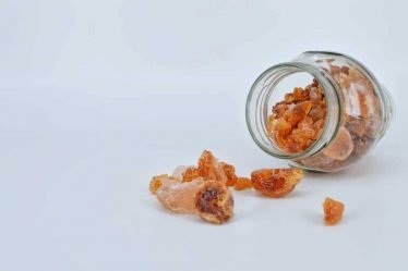 Goma arábica - fatores de risco cardiovascular e sintomas gastrointestinais