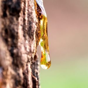 super cola de goma arábica