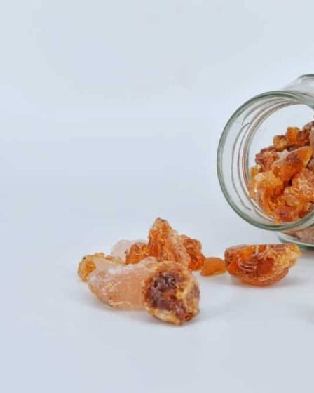 Goma arábica - fatores de risco cardiovascular e sintomas gastrointestinais